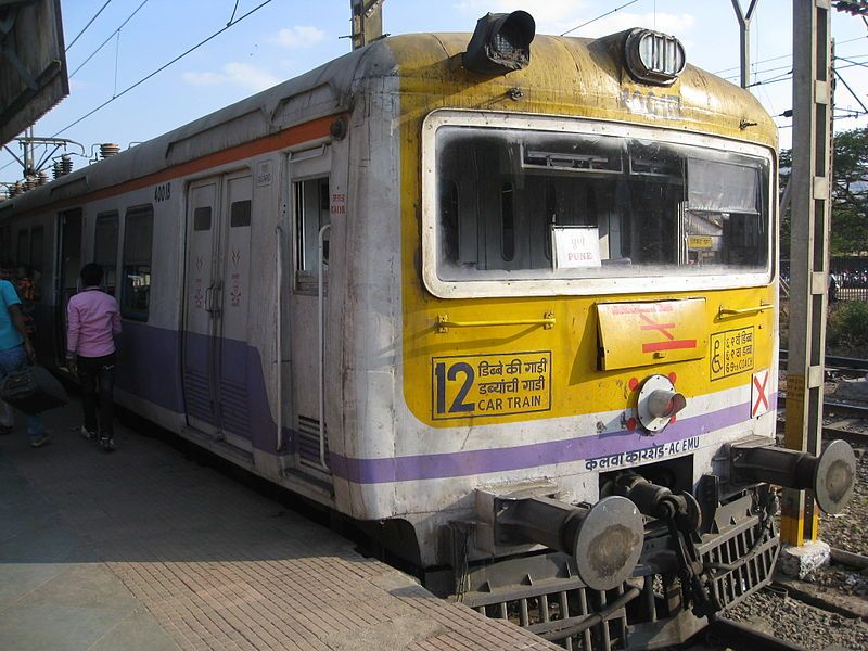 File:Emu at Lonavala.JPG