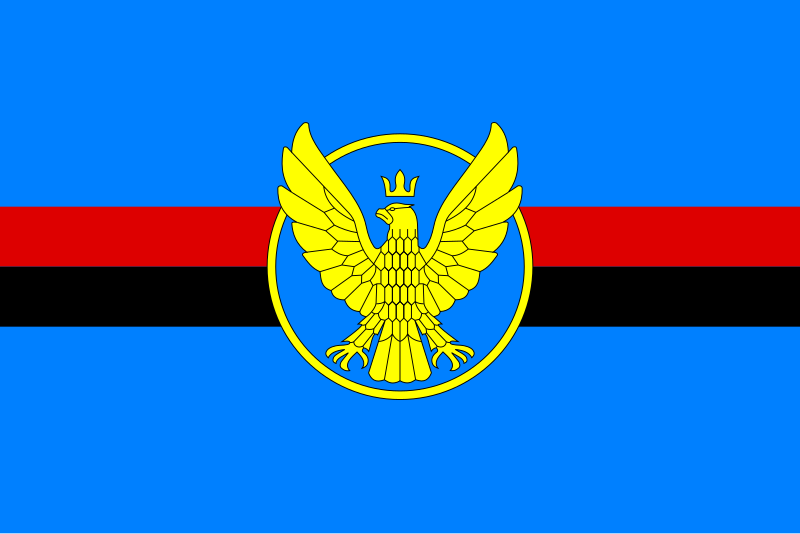 File:Flag of Kolomyia.svg