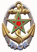 RICM Insignia