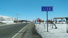 Lice under the snow