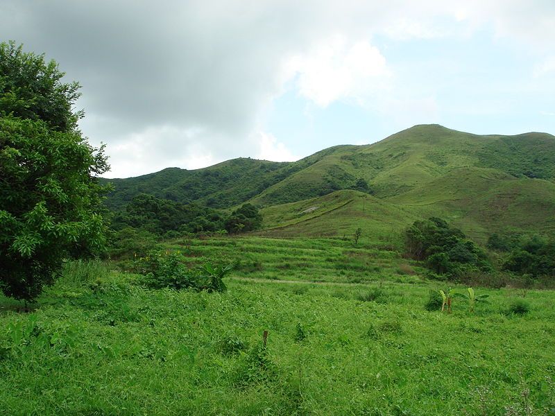 File:LinMaHang36.jpg