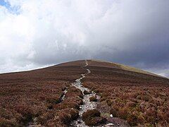 Final path to Maulin from Crone Woods