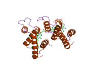 2cb8: HIGH RESOLUTION CRYSTAL STRUCTURE OF LIGANDED HUMAN L-ACBP