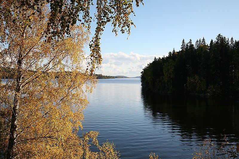 File:Rødnessjøen 2007-10-07.jpg