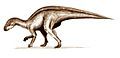 Rhabdodon, a rhabdodontid iguantodont.