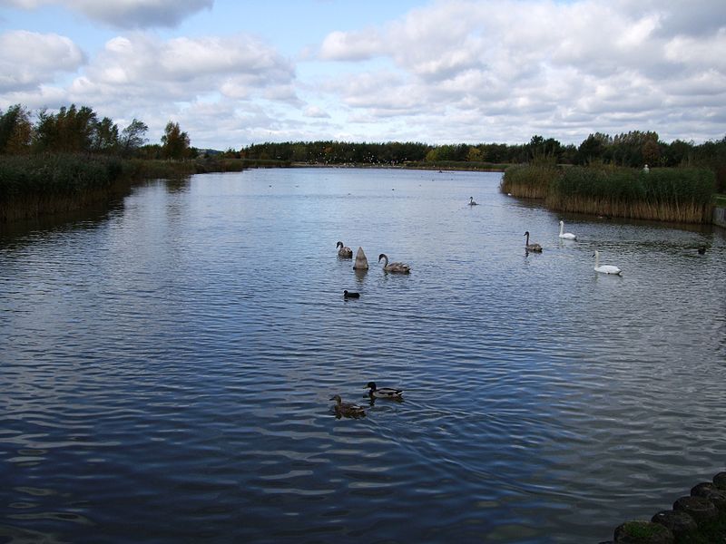 File:Rushcliffeparklake.jpg