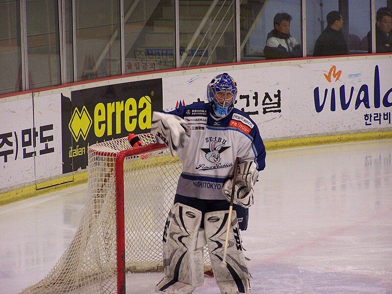 File:Seibugoalie.jpg