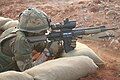 Guardsman using the Sharpshooter Weapon System