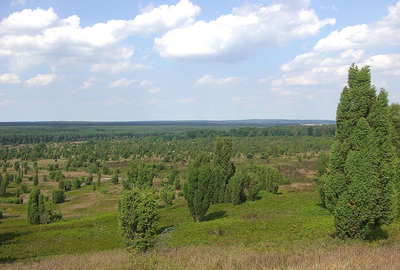 File:WilsederBergNordhang retouched.jpg