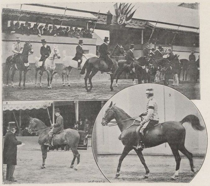 File:Épreuve-chevaux-de-selle-concours-hippique-international-JO1900.jpg