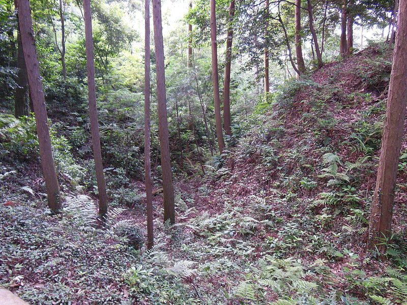 File:野田城.JPG