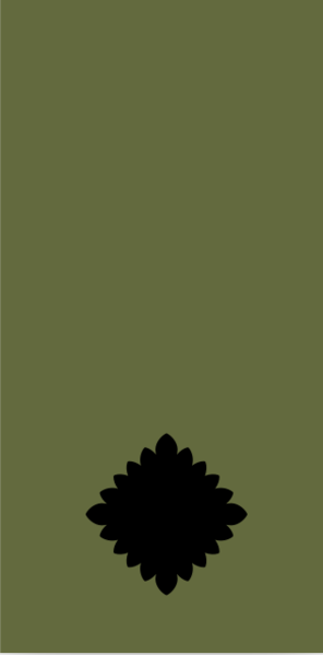 File:2Lt RMR.png