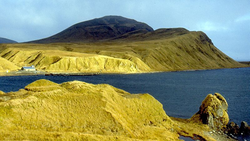 File:Adak Tundra.jpg