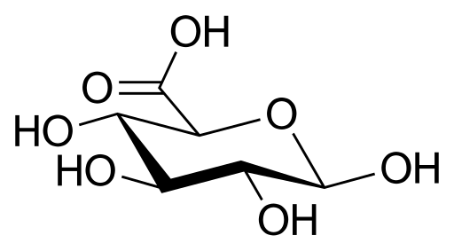 File:Beta D-Glucuronic acid.svg