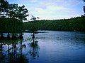 Caddo Lake