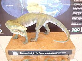 Decuriasuchus at Museu de Ciências Naturais da Fundação Zoobotânica