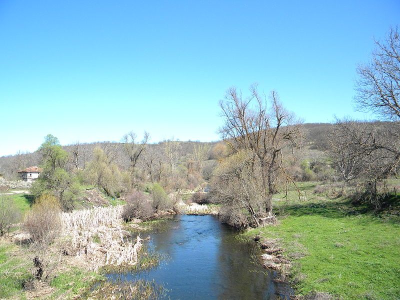 File:Fakiiska River.JPG