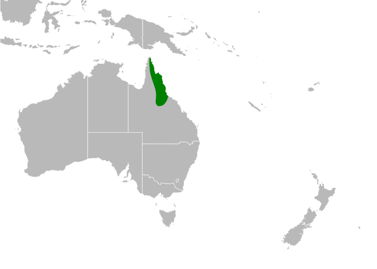 File:Lamprolobium Distribution Map.svg