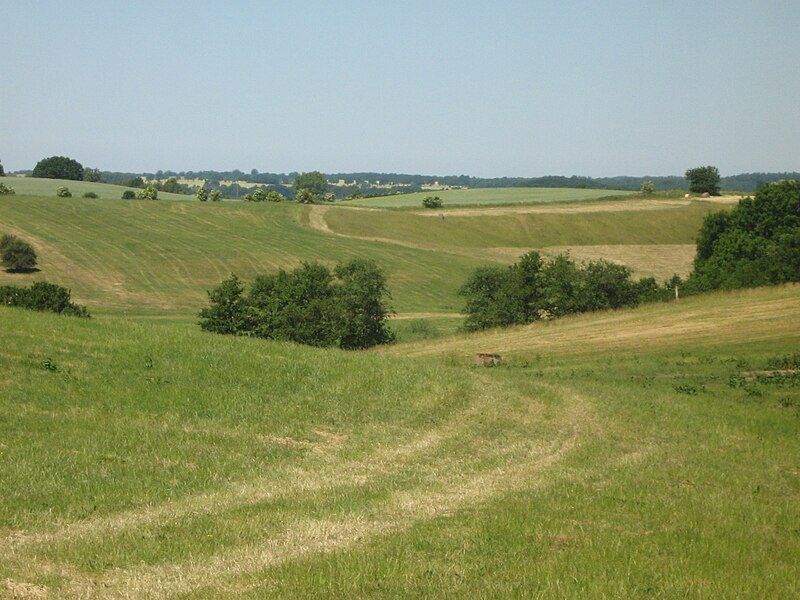 File:Landschaft-bei-Schlockow-08-06-2008-20.jpg