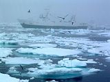 The Spanish Trawler Nuevo Virgen De La Barca in North Atlantic waters