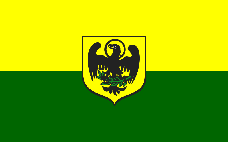 File:POL Paczków flag.svg