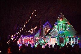 Lights on Peacock Lane