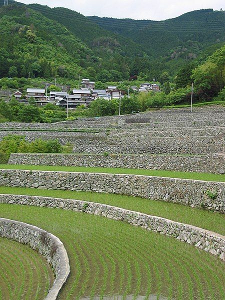 File:Rice Terrace Fukano01.jpg