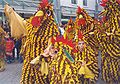 Lake of Constance Chicken