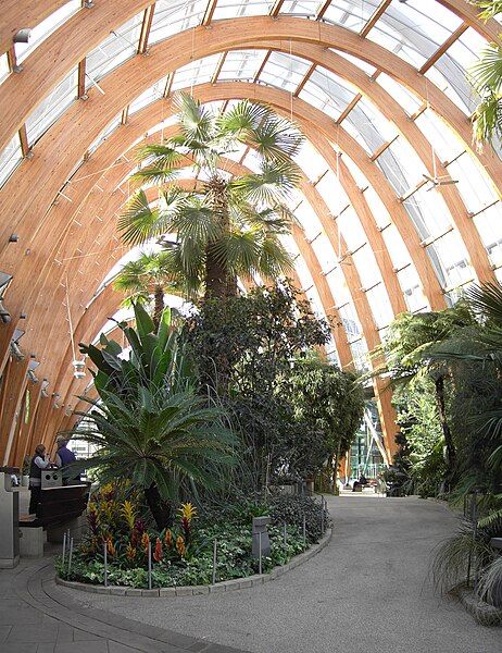 File:Sheffield Winter Garden.jpg