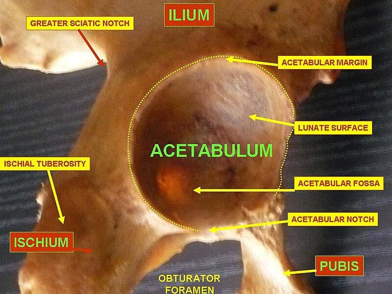 File:Slide9AA.JPG