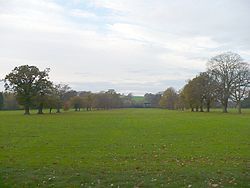 A photograph showing the trees and the path of the country park, looking on towards Bassaleg