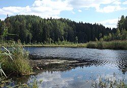 Tsirkjärv, a lake in Pausakunnu