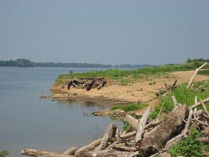 Ohio River shoreline at the Yankeetown site