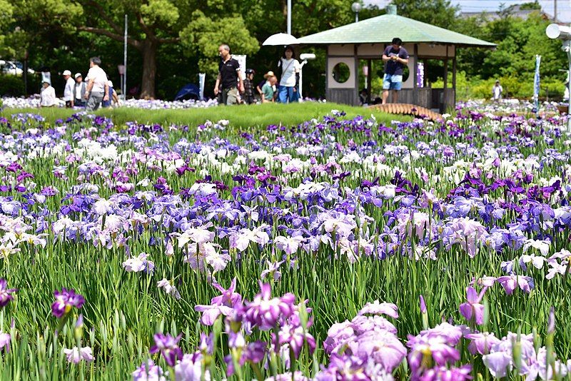 File:Aburagabuchi park.jpg