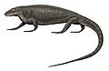 Aerosaurus wellesi