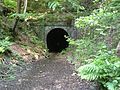 Badgers Oak Tunnel (North Entrance), June 2013