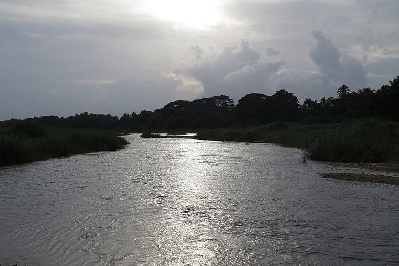 File:Bharathapuzha at mayannur.jpg