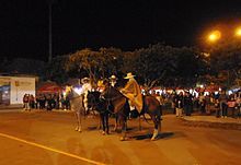 Peruvian Paso at night