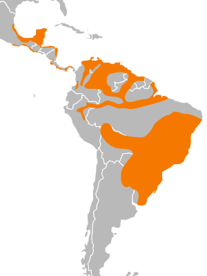 File:Cathartes burrovianus distribution.svg