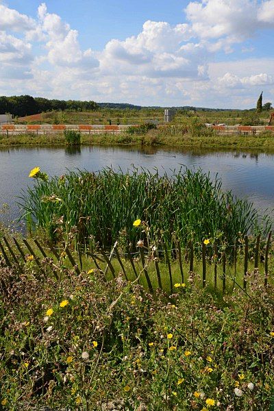 File:Cmglee Eddington pond.jpg