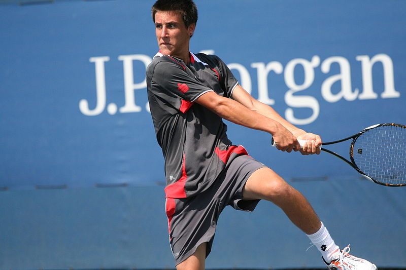 File:Damir Dzumhur.jpg