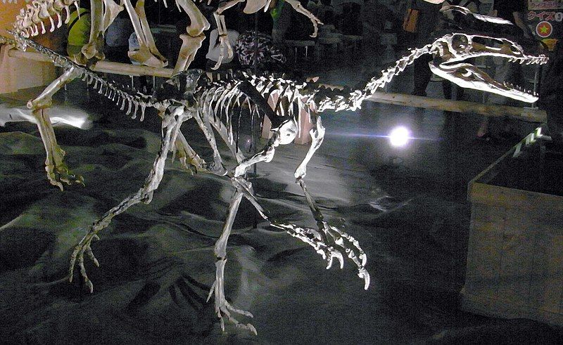 File:Guanlong Mounted Skeleton.jpg