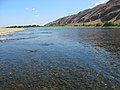 Example: Hanford Reach National Monument, Washington State, US. The last significant free-running (undammed) section of the Columbia River in the US