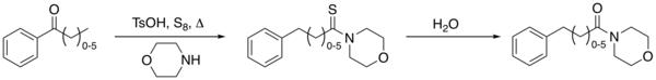 The Kindler modification of the Willgerodt rearrangement