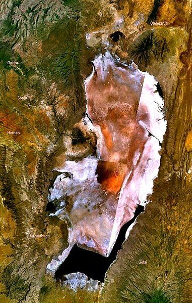 File:Lake Natron satellite.JPG