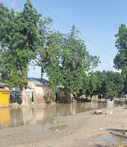 File:Maiduguri flooding.jpg 06.jpg