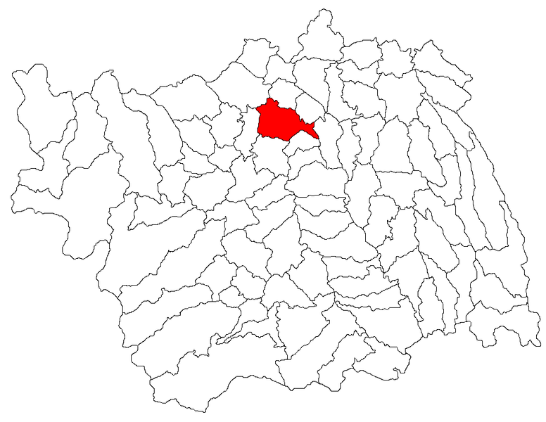 File:Margineni jud Bacau.png