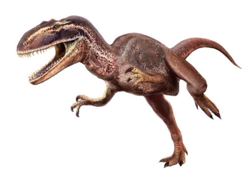 File:Metriacanthosaurus.jpg