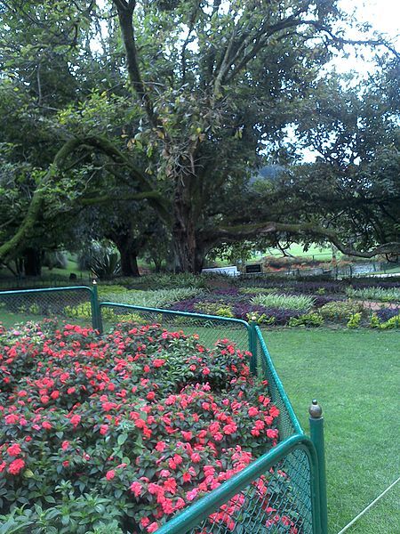 File:Ooty botanical garden.jpg