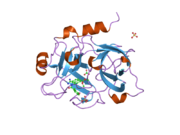 1zsk: Crystal Structure of the Catalytic Domain of Coagulation Factor XI in Complex with 6-Carbamimidoyl-4-(3-hydroxy-2-methyl-benzoylamino)-naphthalene-2-carboxylic acid methyl ester